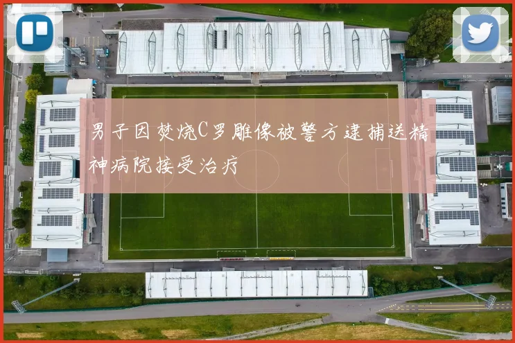 男子因焚烧C罗雕像被警方逮捕送精神病院接受治疗
