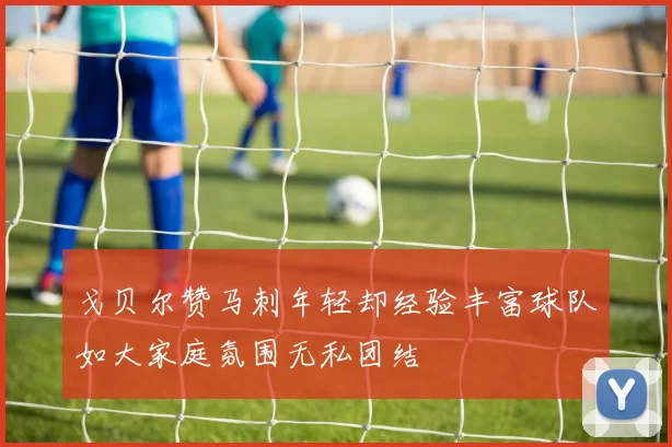 戈贝尔赞马刺年轻却经验丰富球队如大家庭氛围无私团结