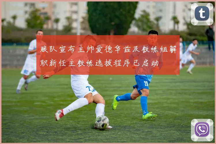 狼队宣布主帅爱德华兹及教练组解职新任主教练选拔程序已启动