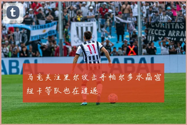 马竞关注里尔攻击手帕尔多水晶宫纽卡等队也在追逐